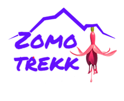 Zomo Trekk