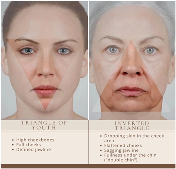 The aging face triangle