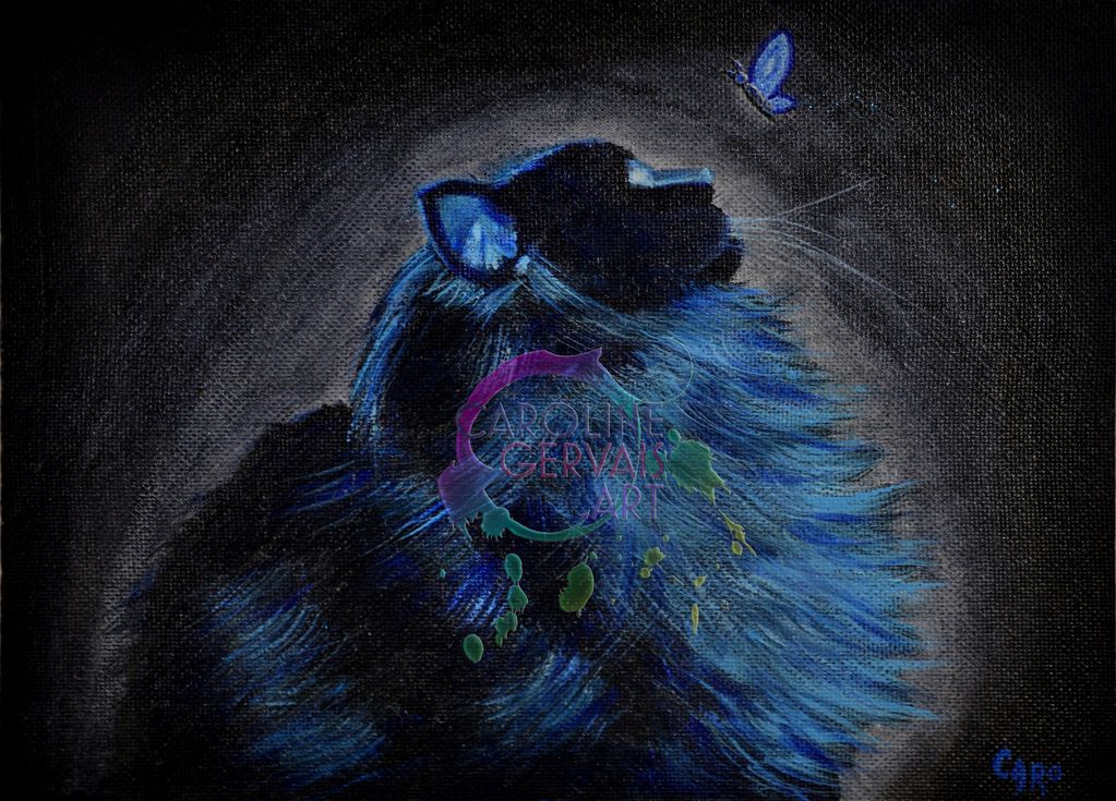 Chat bleu avec papillon / Blue cat with butterfly