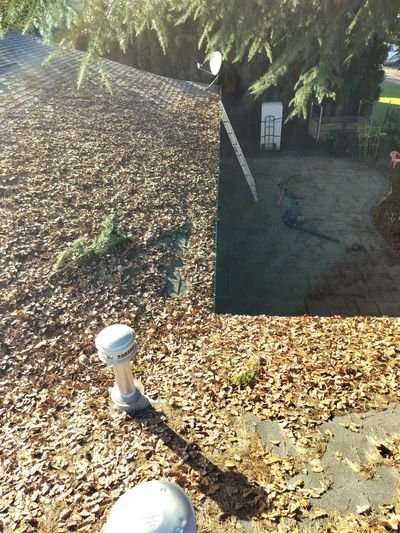Gutter plugged up in Corvallis Oregon 