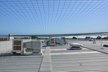 Pigeon netting installed to roof top to stop nesting pigeons