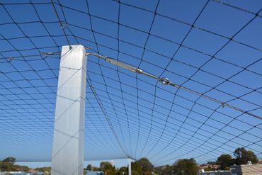 Pigeon netting installed to roof top to stop nesting pigeons
