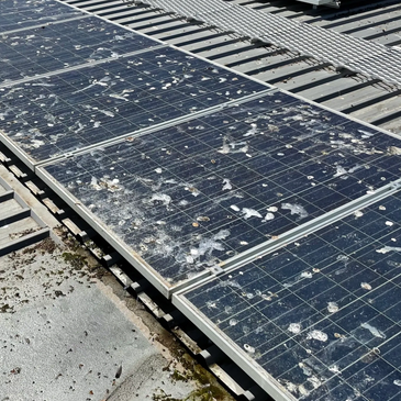 Bird faeces and mess to solar panels causing damage and failure to work correctly