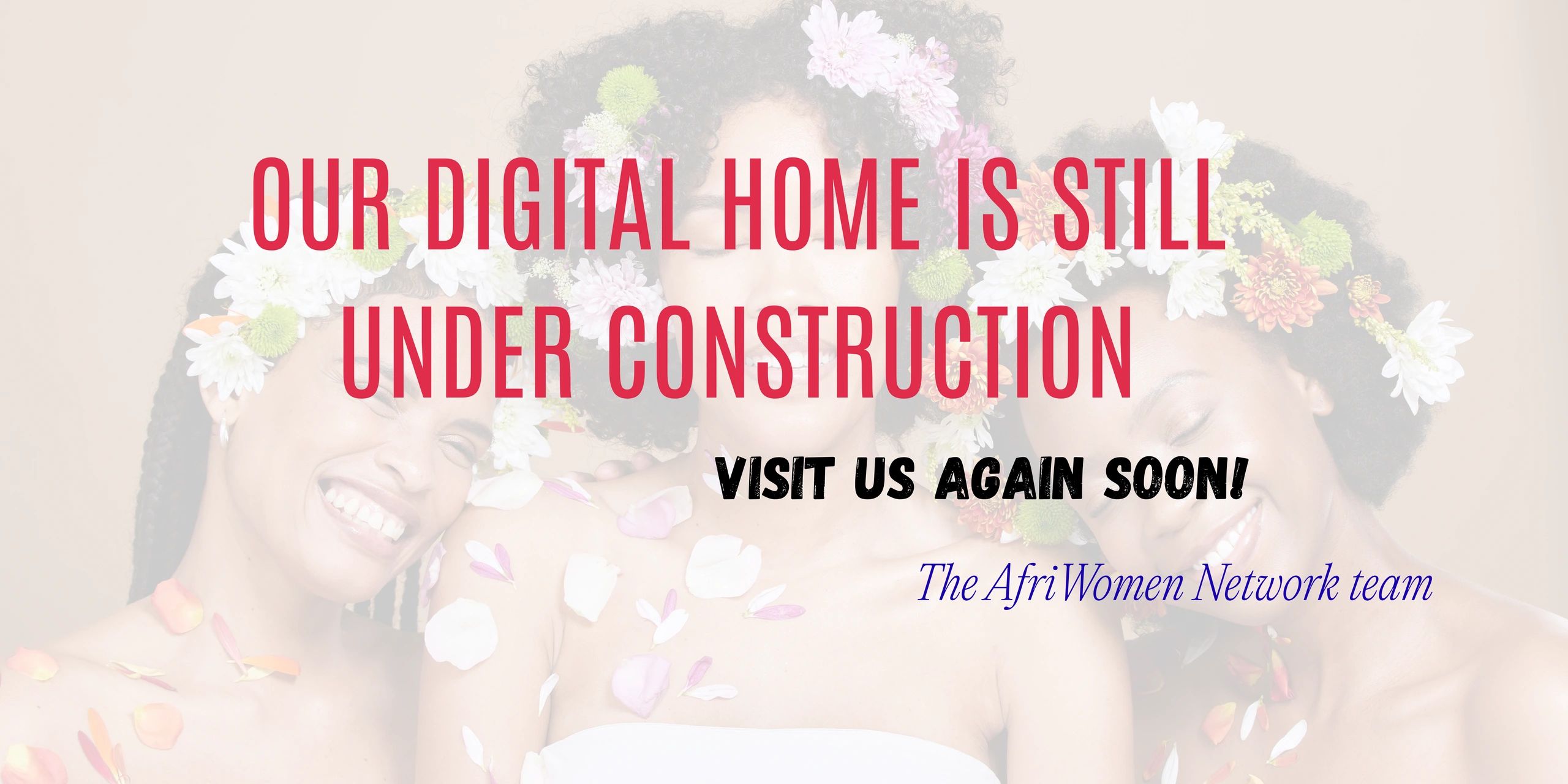 The Afriwomen Network Inc logo