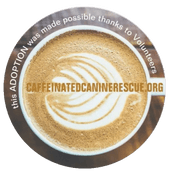 CAFFEINATED CANINE RESCUE