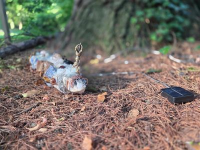 A plastic bottle trap in a forest.