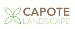 Capote Landscape