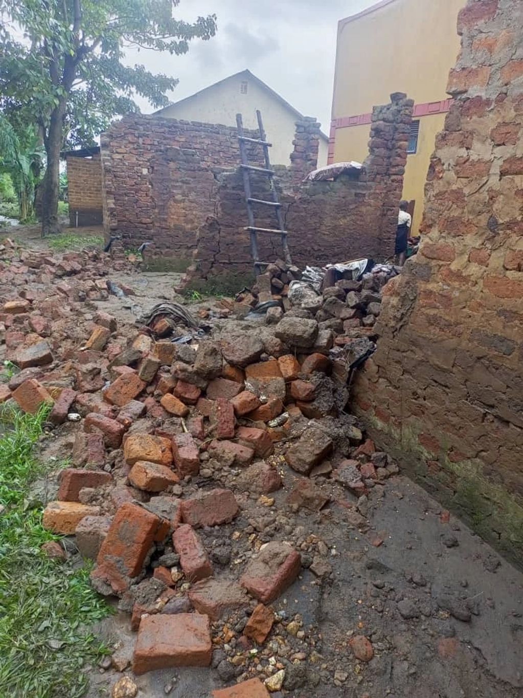 Collapsed brick wall with scattered bricks in a rural setting.