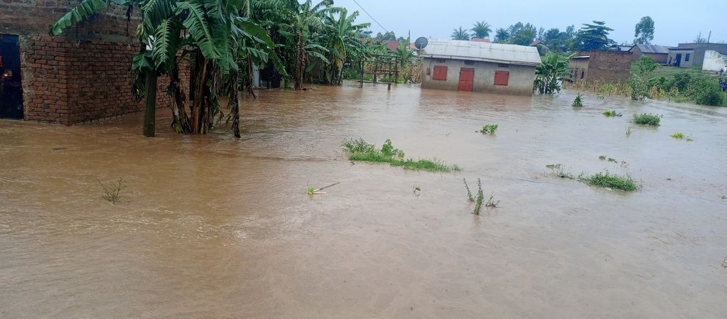 A flooded village with water reaching halfway up houses and trees.