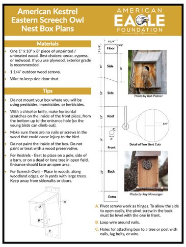 Blueprint and tips for building American Kestrel and Eastern Screech Owl nest boxes.