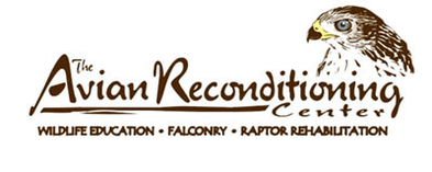 Avian Reconditioning Center