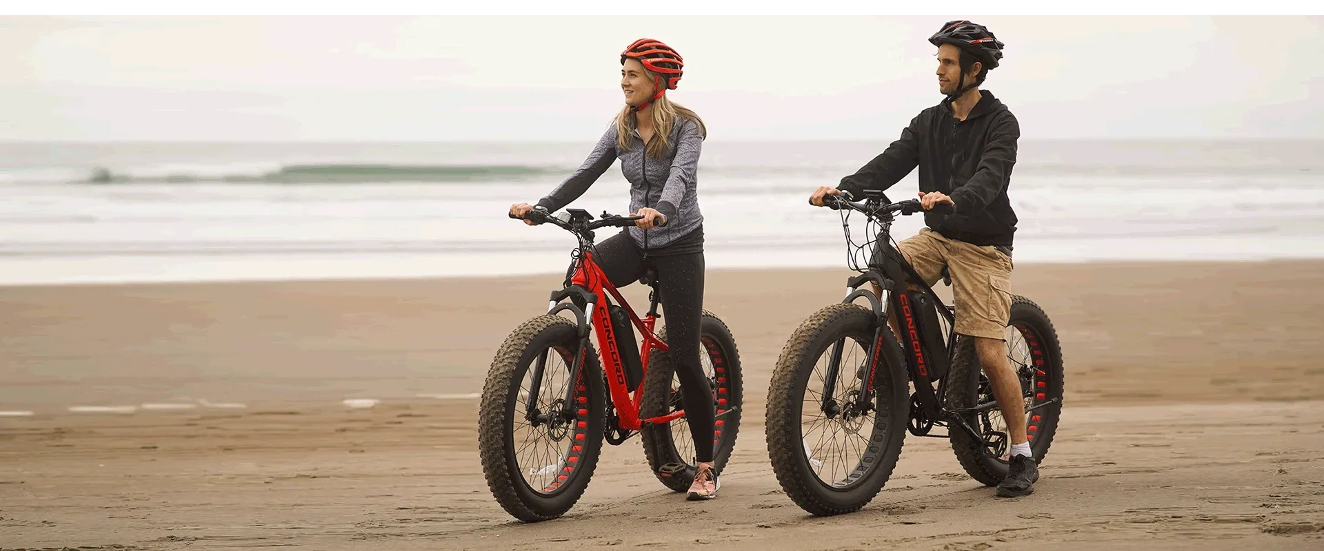 Electric Bike Repair
