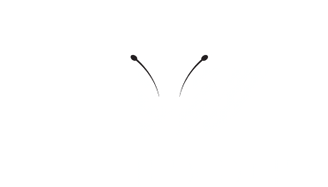 The Guilded Lily 
Home Staging