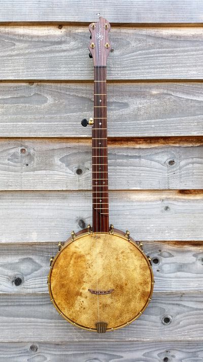 Custom hand built banjo