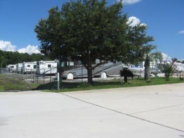 RV parking lot with a tree and blue sky.
