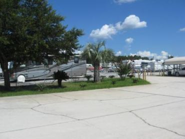 RV parked in a sunny lot with palm trees.