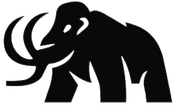 Mammoth Construction