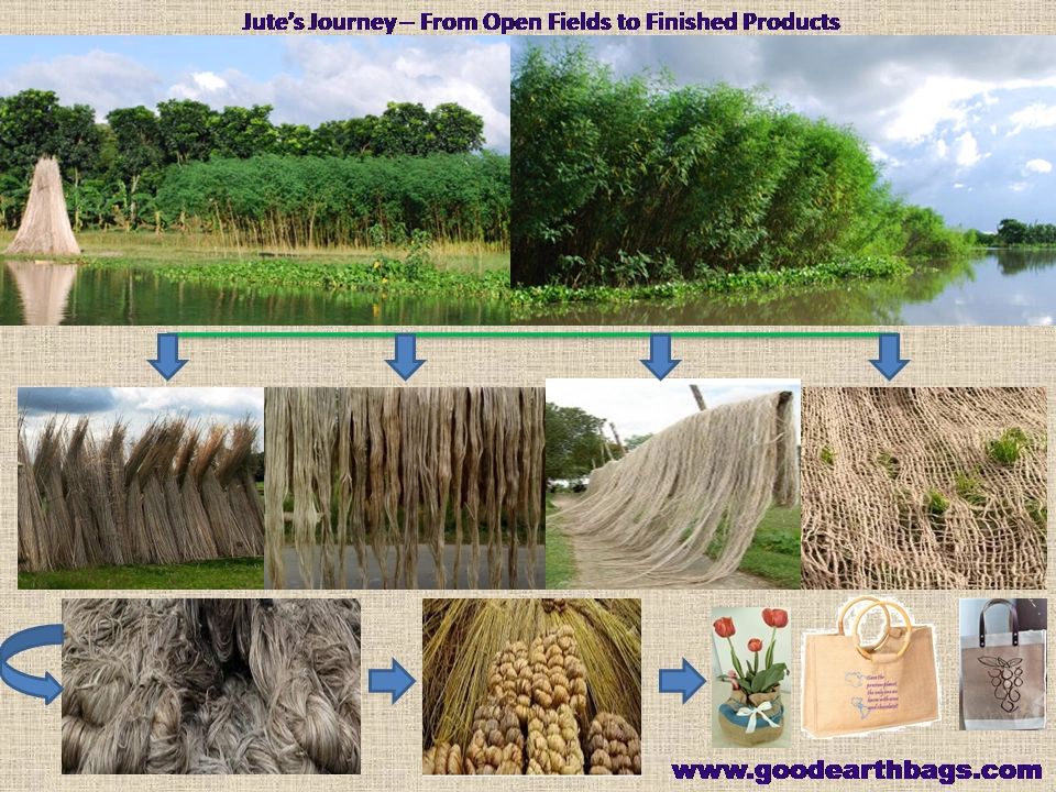 Jute's journey--From fields to store shelves