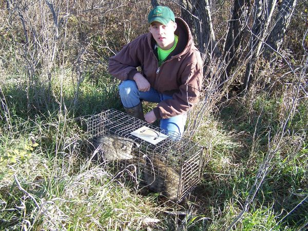 Wickenkamp Small Dog Trap (Model 50), Wildlife Control Supplies