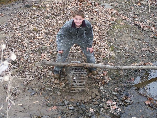 Wickenkamp Small Dog Trap (Model 50), Wildlife Control Supplies