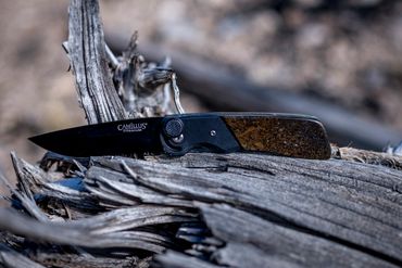 Crafted with Dinosaur Gem Bone