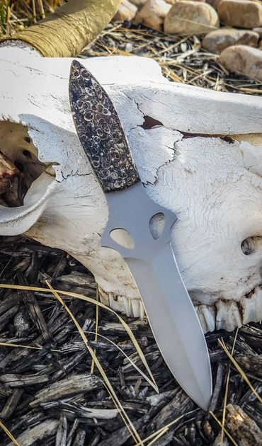 Crafted with Turritella Agate