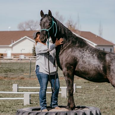 Woman affectionately holding a horse standing on a platform outdoors.