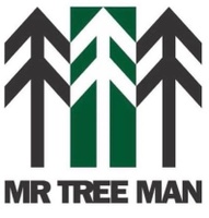 Mr Tree Man