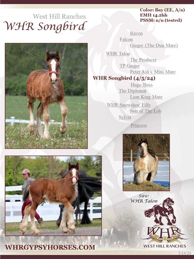 WHR Songbird Catalog