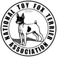 National 
Toy Fox Terrier Association