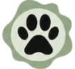 STRONG PAWS PET SERVICES