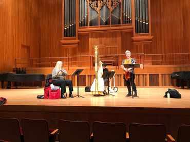 Energetic band playing instruments during a vibrant live show.

