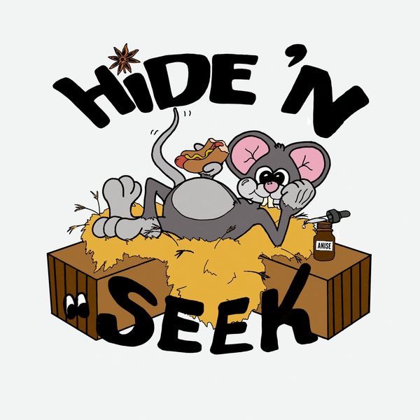 Spirit Hide & Seek™ Game - (GXD70)