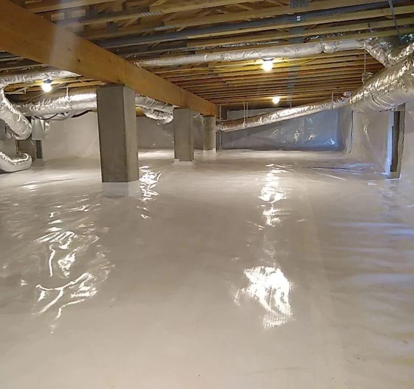 Chesapeake Termite & Pest | Pest Control Company | Chesapeake, VA
