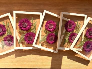 Dried purple flowers framed with green leaves in wooden boxes.