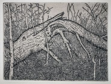 Black and white sketch of a broken tree in a forest.