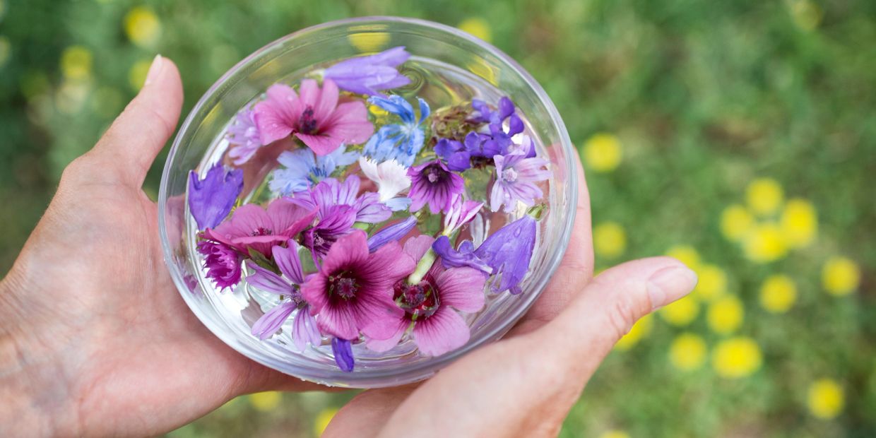 Hands holding a bowl of water with colorful flowers.