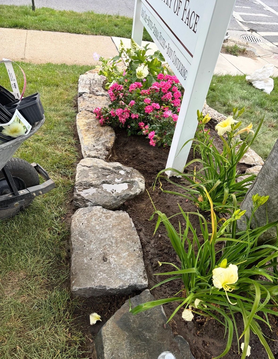 Freshly planted colorful flowers around a business sign with stone border.