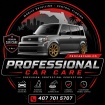 Professional Car Care Mobile Detailing 