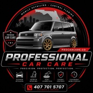 Professional Car Care Mobile Detailing 