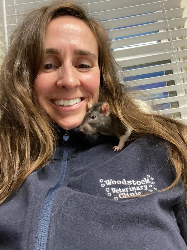 Photos Woodstock Veterinary Clinic