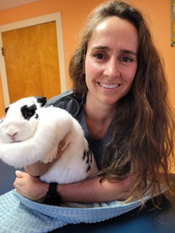 Photos Woodstock Veterinary Clinic