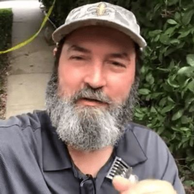 JP the Beeman