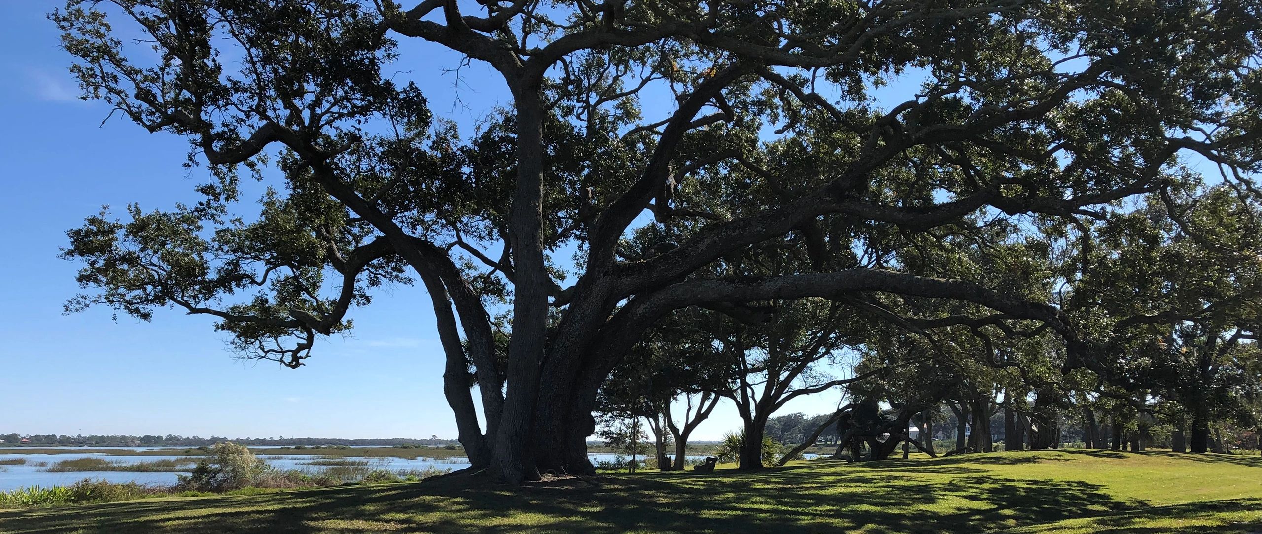 St Augustine South Improvement Association