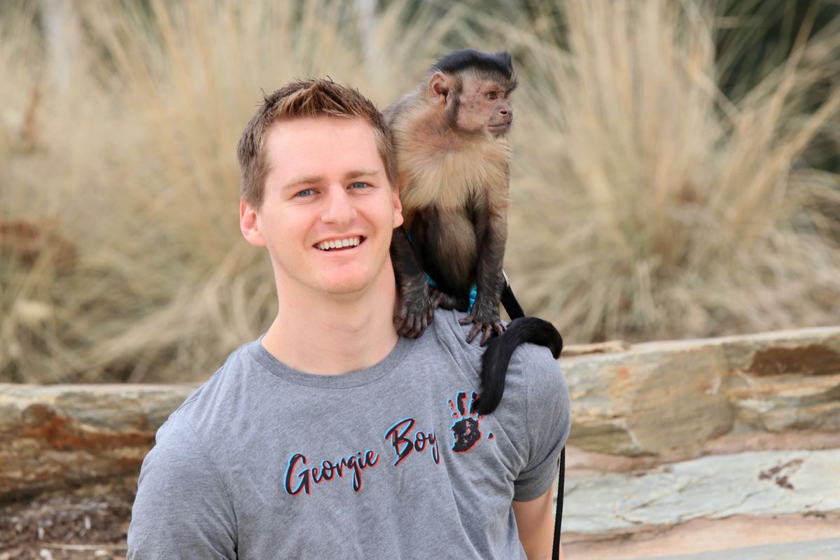 pic Georgie Boy Monkey georgie boy logo t shirt