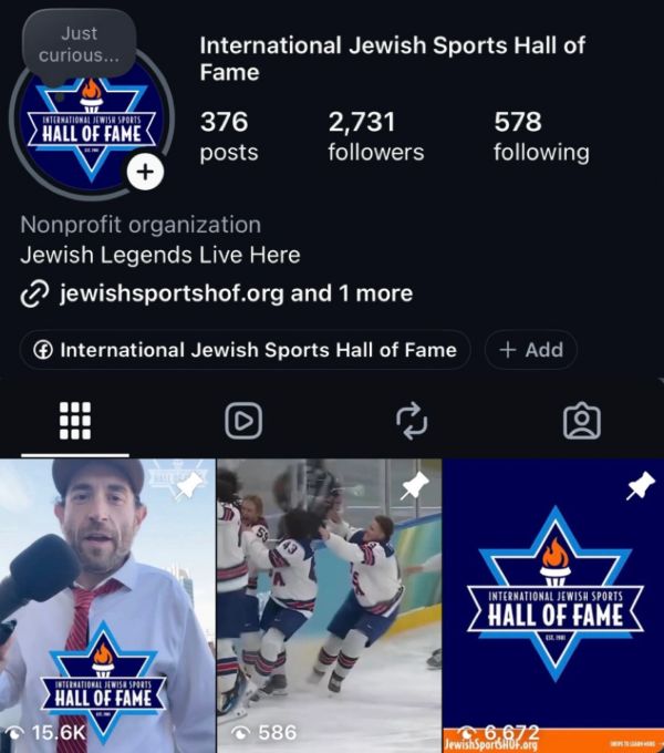Instagram profile of International Jewish Sports Hall of Fame with sports highlights and logo.