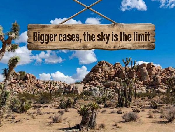 Wooden sign reads 'Bigger cases, the sky is the limit' against desert landscape.