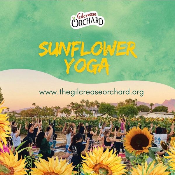 Yoga at Gilcrease Orchard