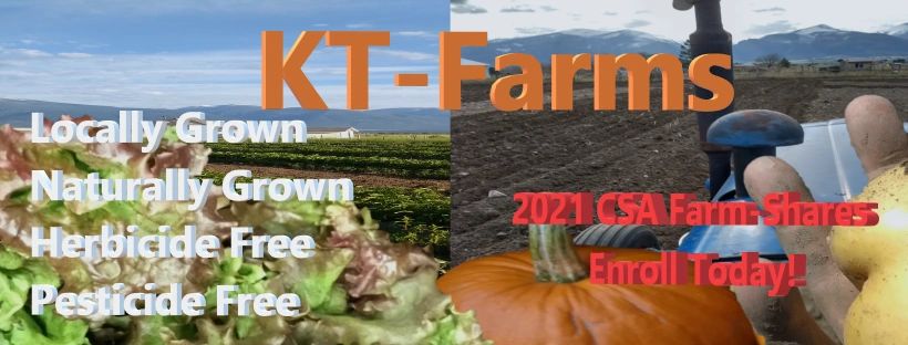 KT Farms