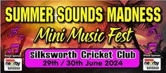 summersoundsmadness.com